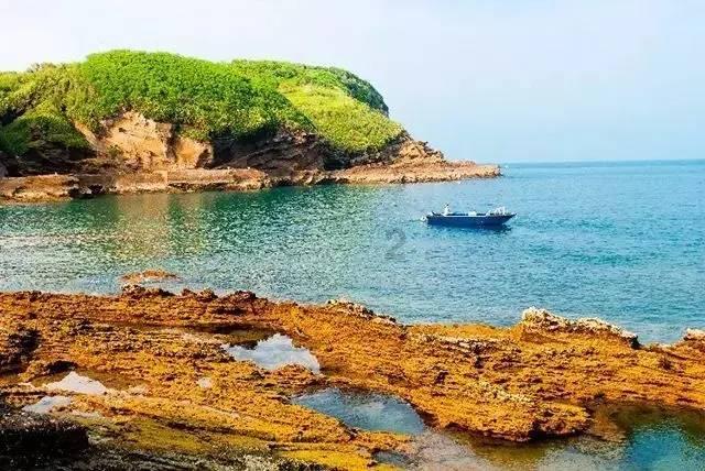 小汪汪